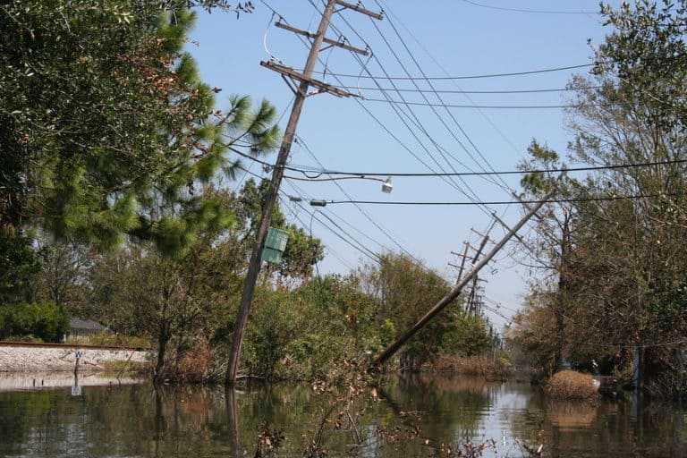 Broken telephone poles hovering over a body of water.