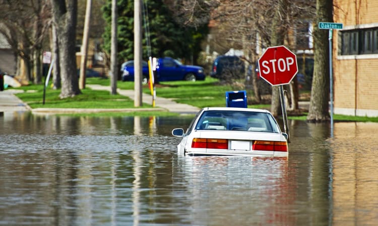 A car submerged in water near a stop sign.