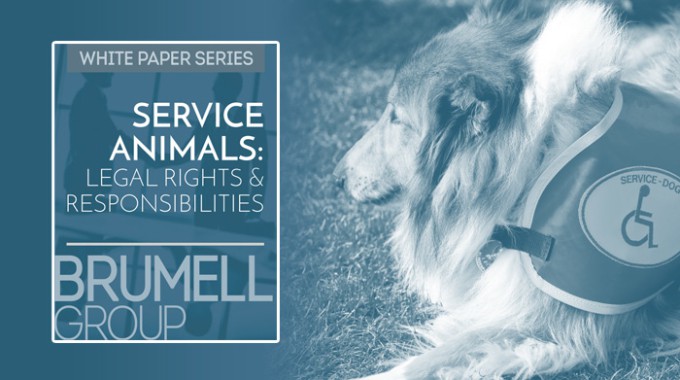 The Rise Of Service Animal Fraud